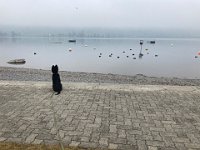 Der kleine Hund und der See  Bes.: Karin Stadlin und Goofy Windler